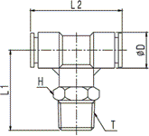 SQT(Male)_2